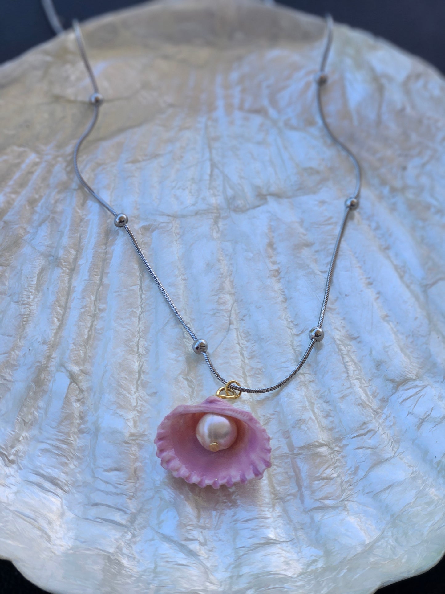Seashell necklace